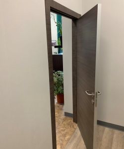 Дверной блок офисный с поперечным экошпоном и алюминиевым торцом