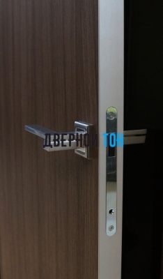 Гладкая дверь Капель с поперечным экошпоном серия ECO (телескопическая коробка) торец алюминиевый