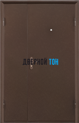 Тамбурная дверь PROFI DL
