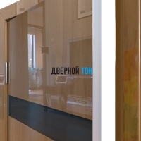 Гладкая дверь модель ДГ 502 глянец с алюминиевым торцом анегри темный стекло черное
