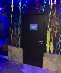 Композитная влагостойкая дверь Aquadoor RAL 9005 для зоны аквапарка