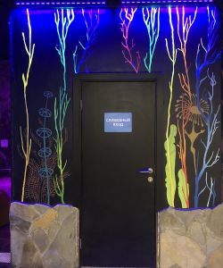 Композитная влагостойкая дверь Aquadoor RAL 9005 для зоны аквапарка